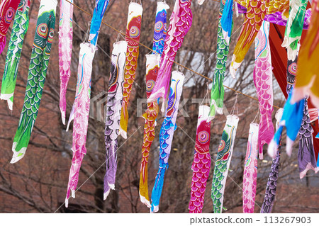 [May] 333 carp streamers at Tokyo Tower 113267903