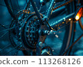 Gear Symphony: Close-Up of Bicycle Rear Wheel Cassette in Exquisite Detail 113268126