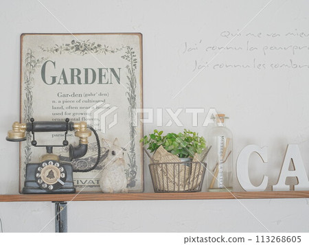 Natural Interior 113268605