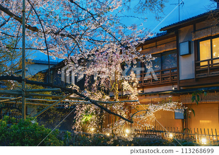 只園白河的春天景色 113268699