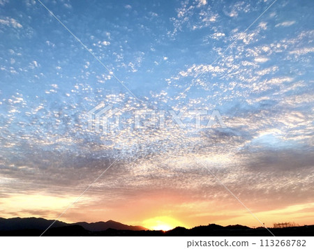 Vivid sunset and small scaly clouds Vivid sunset and small scaly clouds 113268782
