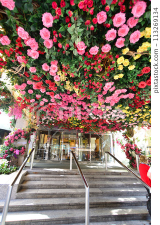 Hanging plants at the entrance of a luxury hotel in New York 113269134