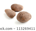 土豆 113269411