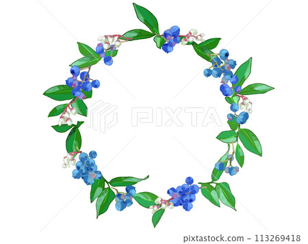 Blueberry wreath illustration 113269418