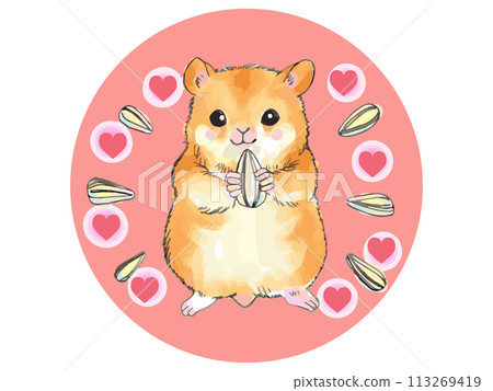 Hamster Icon 113269419