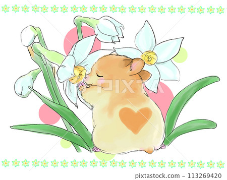倉鼠和水仙花 倉鼠和水仙花 113269420