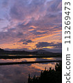 Sunset reflected in the rice paddies 113269473
