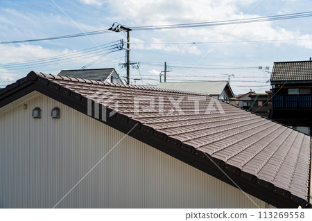 Residential roof 113269558