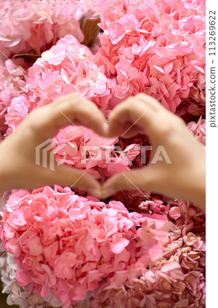 Woman's hands shaping heart in front of pink blossoms 113269622