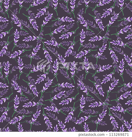 Hand drawn watercolor lavender wildflower seamless pattern isolated on dark background. Can be used for textile, fabric and other printed products. Hand drawn watercolor lavender wildflower seamless pattern isolated on dark background. Can be used for textile, fabric and other printed products. 113269871