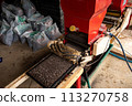 Seed drill work 113270758