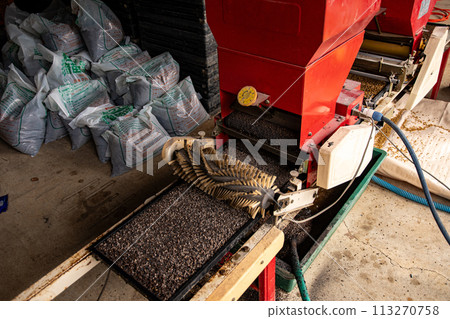 Seed drill work 113270758