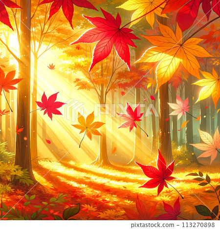 Autumn forest, autumn leaves, fallen leaves 113270898