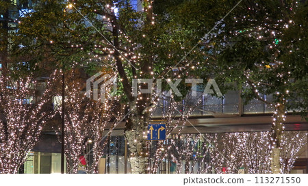 A glittering city night: Illuminated street trees in Umeda A glittering city night: Illuminated street trees in Umeda 113271550