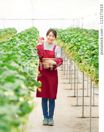 一位年輕女子拿著收穫的草莓，微笑著 113271818