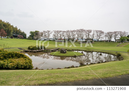 櫻花盛開的妙泉寺公園 櫻花盛開的妙泉寺公園 113271908