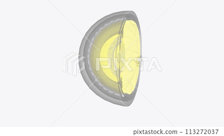 The vitreous humor is a transparent, colorless, gel-like substance located in the posterior chamber of the eye The vitreous humor is a transparent, colorless, gel-like substance located in the posterior chamber of the eye 113272037