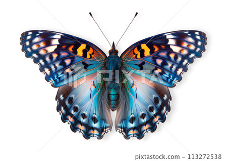 Beautiful Red spotted purple butterfly isolated on a white background with clipping path Beautiful Red spotted purple butterfly isolated on a white background with clipping path 113272538