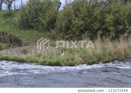 Flower rafts that look great on the riverbank Flower rafts that look great on the riverbank 113272544