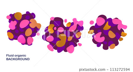 Fluid organic background. Frame isolated. Set of abstract liquid shapes, colorful elements, gradient waves with geometric lines, dynamical forms. Vector design for banner, flyer, business card 113272594