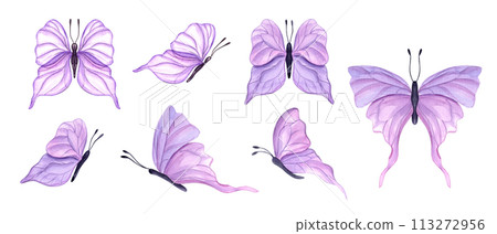 Fluttering pink butterflies. Set of abstract watercolor tropical insects. Hand drawn illustration of cute butterfly. For textile, wedding invitation, banner design 113272956