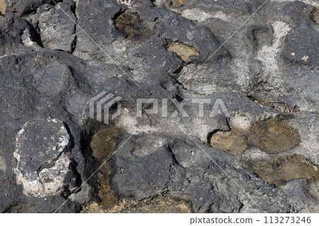 Rugged Limestone Rock Surface Texture Rugged Limestone Rock Surface Texture 113273246