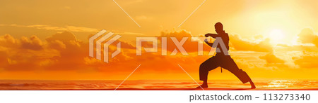 silhouette of martial artist practicing at sunrise, tranquil setting, inspiring background design for banner, space for text 113273340