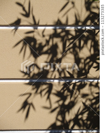 The shadow of bamboo leaves is reflected on the stone wall of a Japanese house The shadow of bamboo leaves is reflected on the stone wall of a Japanese house 113273385