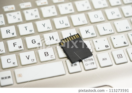 SD 卡和鍵盤的圖像 SD 卡和鍵盤的圖像 113273591