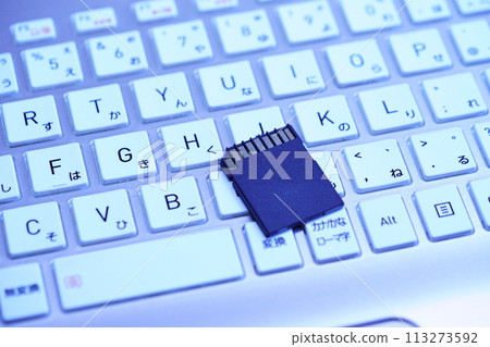 Image of sd card and keyboard 113273592