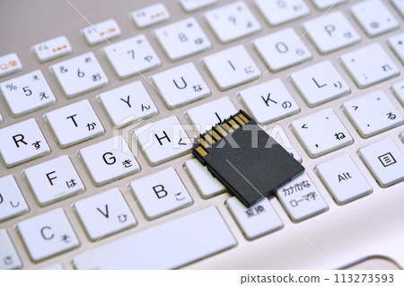 SD 卡和鍵盤的圖像 SD 卡和鍵盤的圖像 113273593