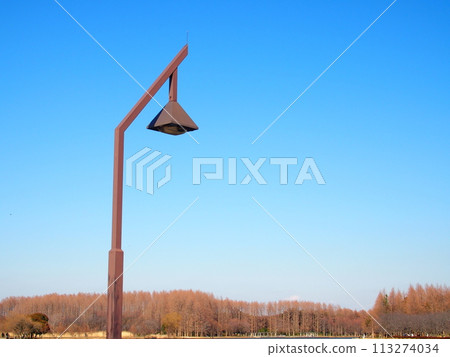 Street lights and dead trees at Mizumoto Park on the opposite bank in winter Street lights and dead trees at Mizumoto Park on the opposite bank in winter 113274034