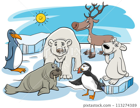 cartoon polar animals characters group cartoon polar animals characters group 113274389
