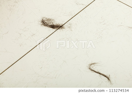 Dark hair pieces on white floor 113274534