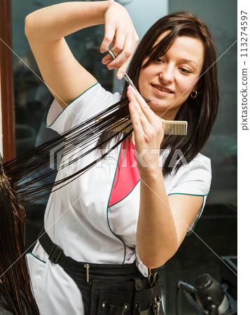 Hairdresser cutting dark hair using professional scissors Hairdresser cutting dark hair using professional scissors 113274597