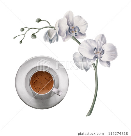 A cup of coffee in a ceramic cup on a saucer with a white orchid branch.Top view.Watercolor illustration for your projects,placecards,business cards,stickers,flyers,for menu,cafe,coffee business. A cup of coffee in a ceramic cup on a saucer with a white orchid branch.Top view.Watercolor illustration for your projects,placecards,business cards,stickers,flyers,for menu,cafe,coffee business. 113274818