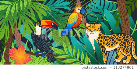Jungle tropical illustration. Forest animal, pattern summer. Abstract background. Toucan drawing, different parrot, colorful, bird, cute cheetah. Funny rainforest creatures. Vector cute art doodle Jungle tropical illustration. Forest animal, pattern summer. Abstract background. Toucan drawing, different parrot, colorful, bird, cute cheetah. Funny rainforest creatures. Vector cute art doodle 113274901