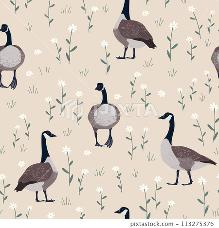 Seamless pattern with daisy flower and Canada geese birds. Small white flowers and green leaves on beige background. Cute floral print. Vector illustration. 113275376