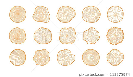 Tree rings. Hand drawn wood slice texture. Abstract tree age year circle. Line wooden circular ripple, nature timber, fractal stump. Organic trees material. Vector set 113275974