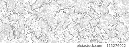 Contour topographic map. Map of heights pattern with wavy lines, contoured relief texture with topographical mountains, topography plains vector background 113276022