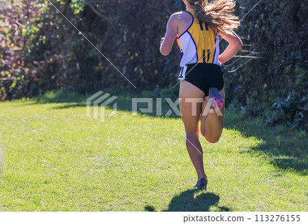 One Cross Country runner in the lead of a 5K in a park 113276155