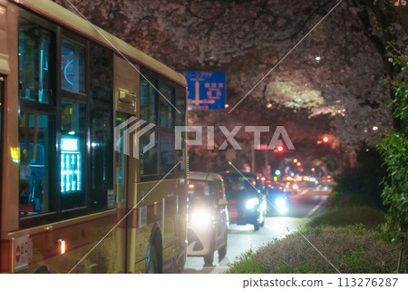 Cherry Blossoms	 113276287