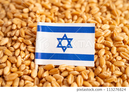 Grains wheat with Israel flag, trade export and economy concept. Grains wheat with Israel flag, trade export and economy concept. 113276824