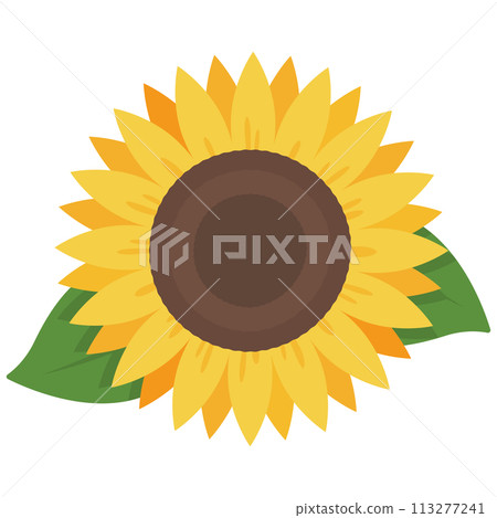 Simple sunflower icon 113277241