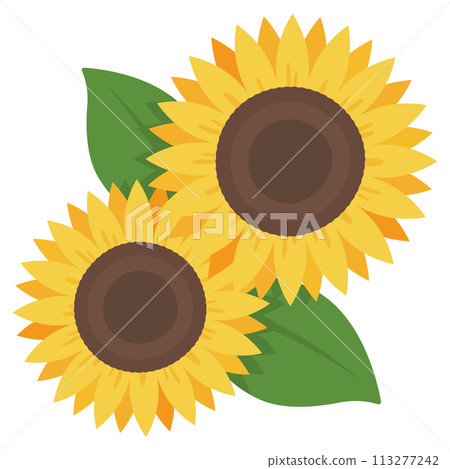Simple sunflower flower illustration 113277242