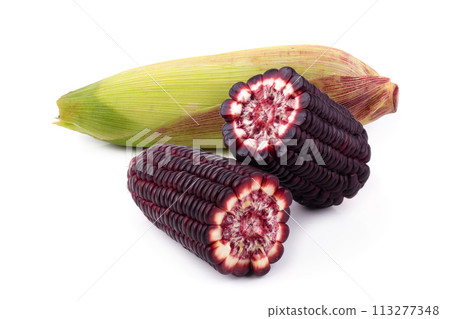Fresh corns isolated on a white background Fresh corns isolated on a white background 113277348