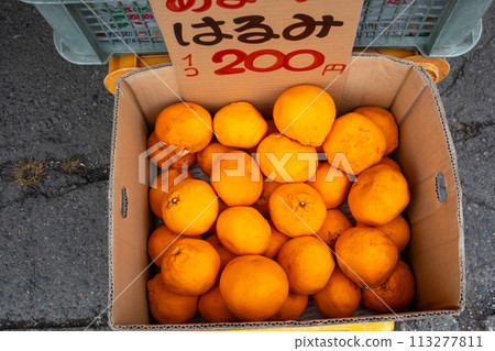 Mandarin orange counter Mandarin orange counter 113277811