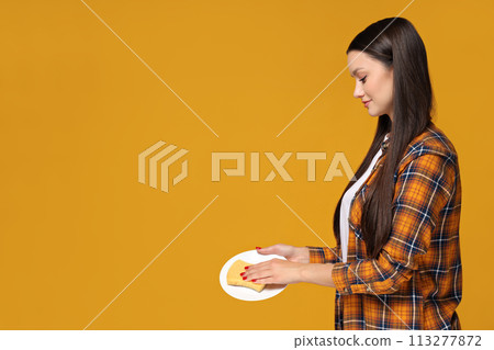Housewife girl with tools for cleaning the house. Housewife girl with tools for cleaning the house. 113277872