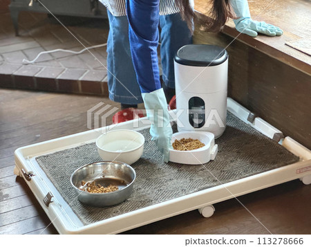 Woman's hand setting up an automatic cat feeder Woman's hand setting up an automatic cat feeder 113278666