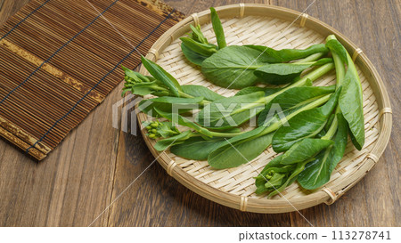 小松帶芽（小松油菜花） 113278741